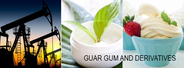 Guar Gum & Derivatives