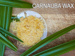 Carnauba Wax